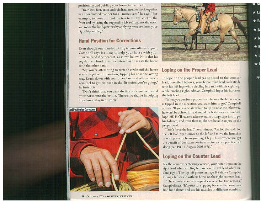 Campbell bridle-horse advice.3