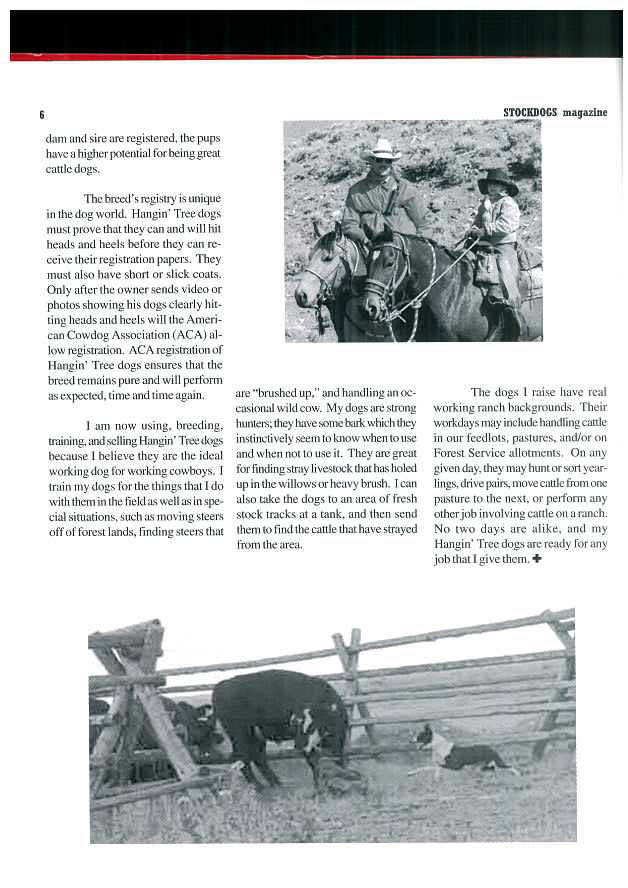 Hanging tree dogs article pg. 3