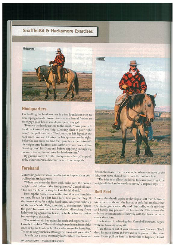 snaffle1-3